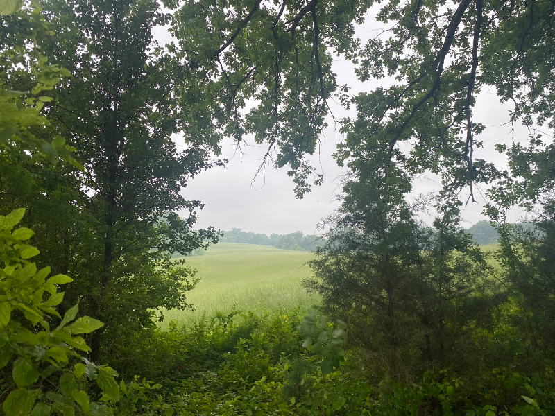 224 Park Circle Dr W - Photo 5 of 6