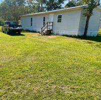 featured image of 1048 Tigger Loop #18