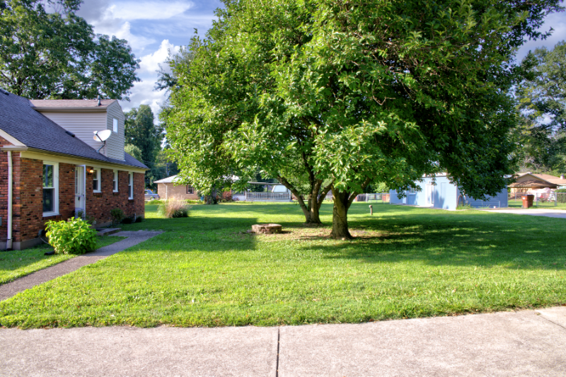 8006 Watterson Trl - Photo 3 of 17