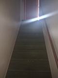 2311 10th St #UPPER - Photo 1 of 1