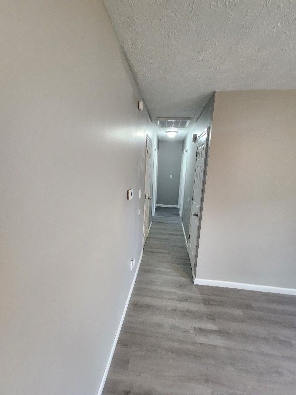 1146 Morris Ave - Photo 5 of 14