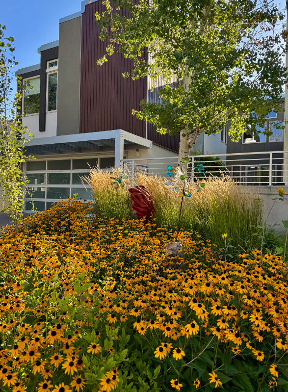 414 Harrison St - Photo 6 of 48