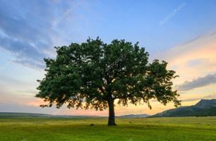 featured image of 16185 Hwy #1