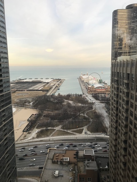 440 E Ohio St #2202 - Photo 5 of 16