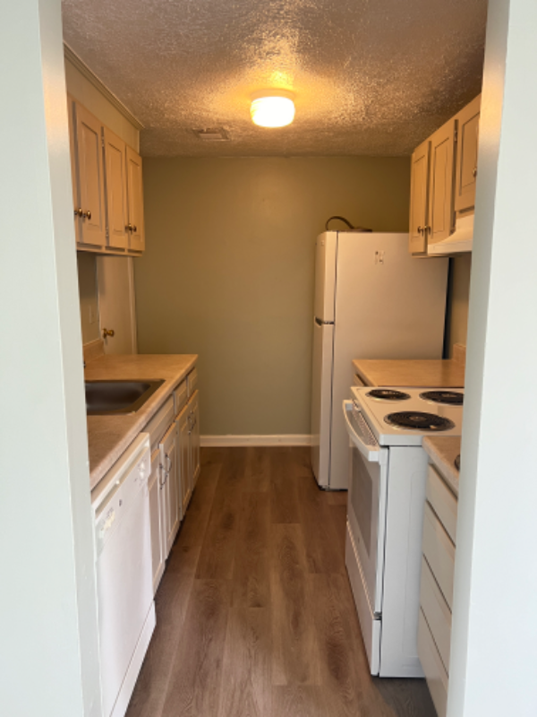 106 Gooseneck Ct - Photo 2 of 20