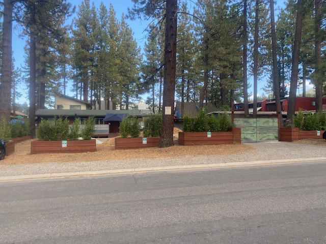 1037 Echo Rd #3 - Photo 6 of 16