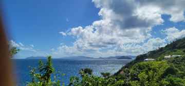 featured image of 11-30 Peterborg Sydney'S Fancy