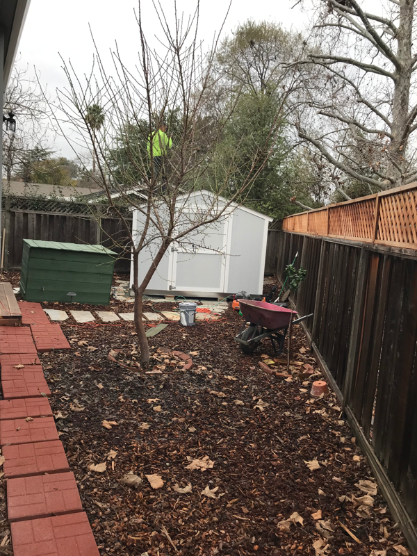 55 Drake Ct #A - Photo 3 of 15