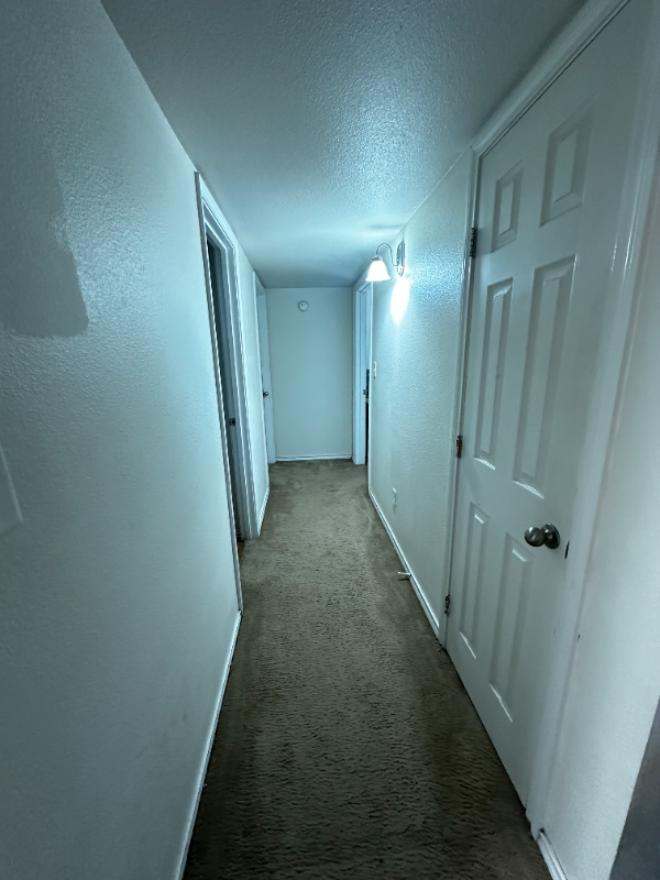 852 W Vanderbilt St #1102 - Photo 7 of 12