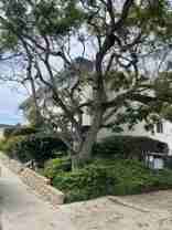 1412 Graham St - Photo 1 of 1