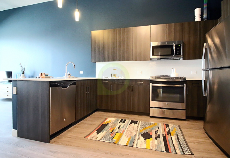 709 N Milwaukee Ave - Photo 5 of 13