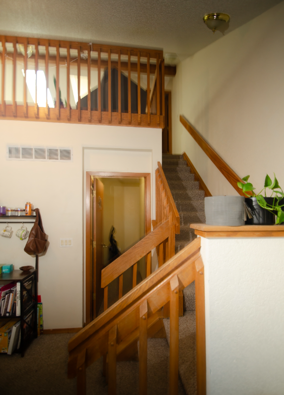 2829 Springdale Ln - Photo 2 of 9