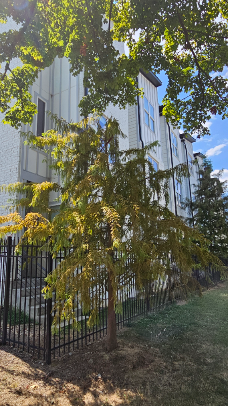 2001 Convent Pl - Photo 6 of 28