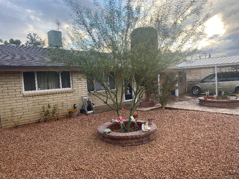 7116 Orange Tree Ln - Photo 2 of 24