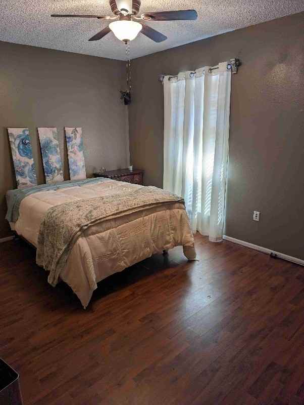 4360 Stumberg Ln - Photo 4 of 6