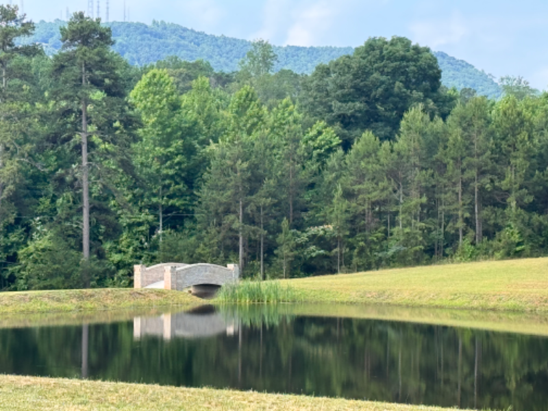 5220 State Park Rd - Photo 6 of 25