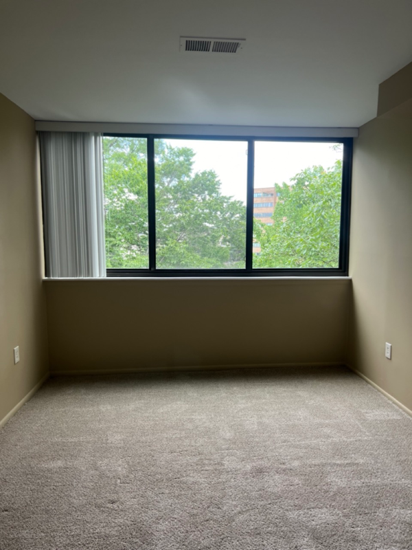 12 S Van Dorn St #501 - Photo 7 of 16