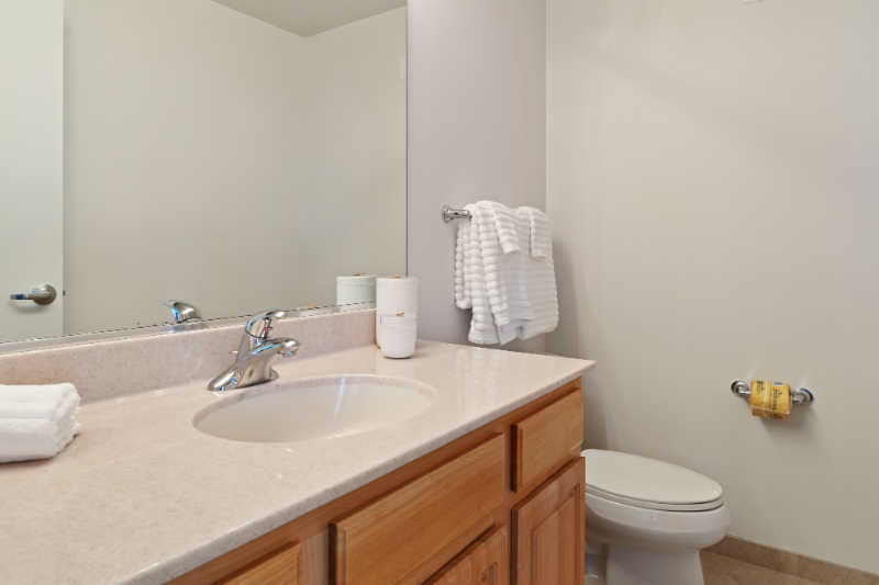 350 N Desplaines St - Photo 5 of 12
