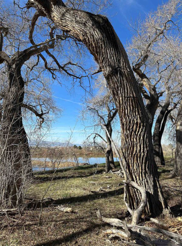 68 Martinez Rd - Photo 3 of 14