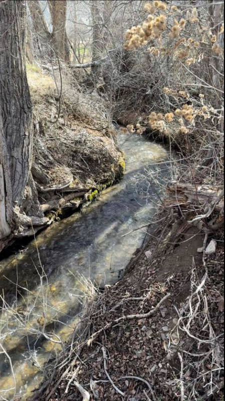 68 Martinez Rd - Photo 4 of 14