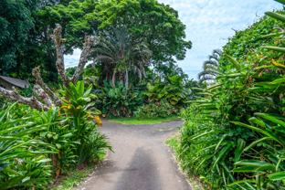 81-6467 Hawaii Belt Rd #1 - Photo 1 of 1