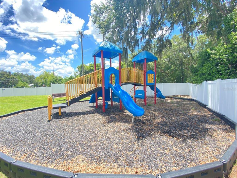 37220 Majestic Oak Ct #37220 - Photo 4 of 11