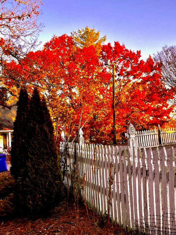 306 Davis St - Photo 2 of 16