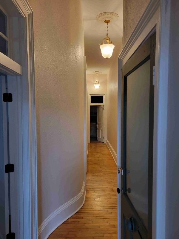 219 1/2 Watson St - Photo 4 of 23