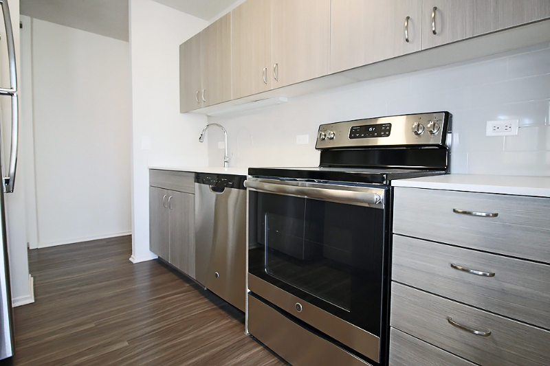 1130 N Clark St #1605 - Photo 4 of 10