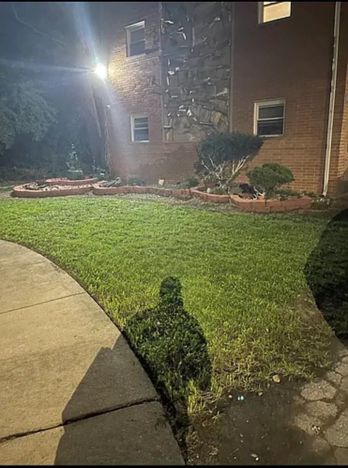 13058 Wood St #3EAST - Photo 2 of 8