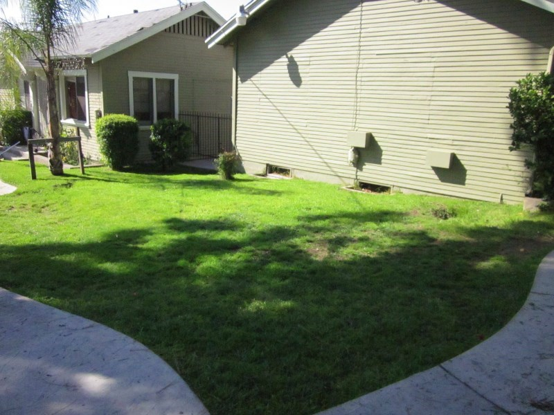 2115 Raymond Ave #2113 - Photo 2 of 13