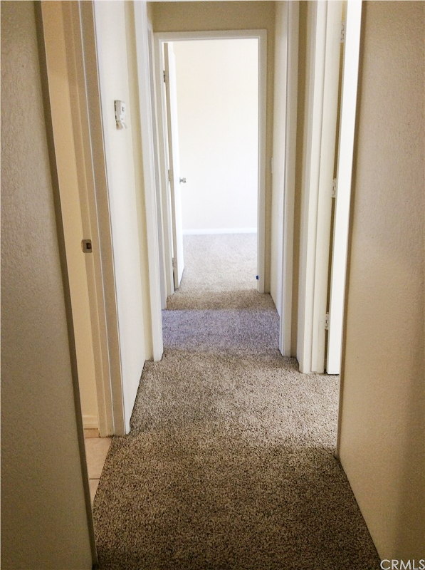 155 Tiger Ln - Photo 6 of 15