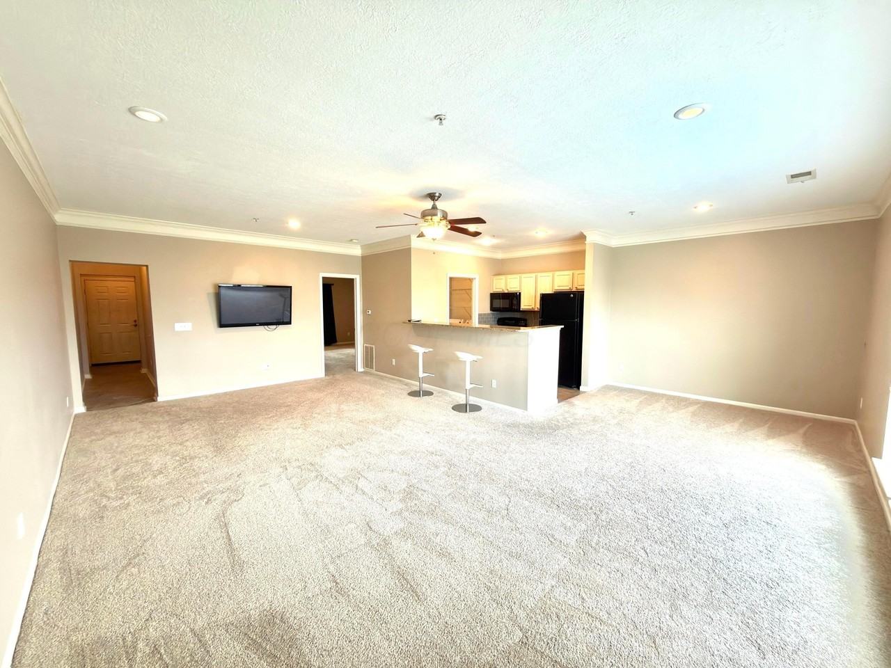 6265 Craughwell Ln - Photo 4 of 14