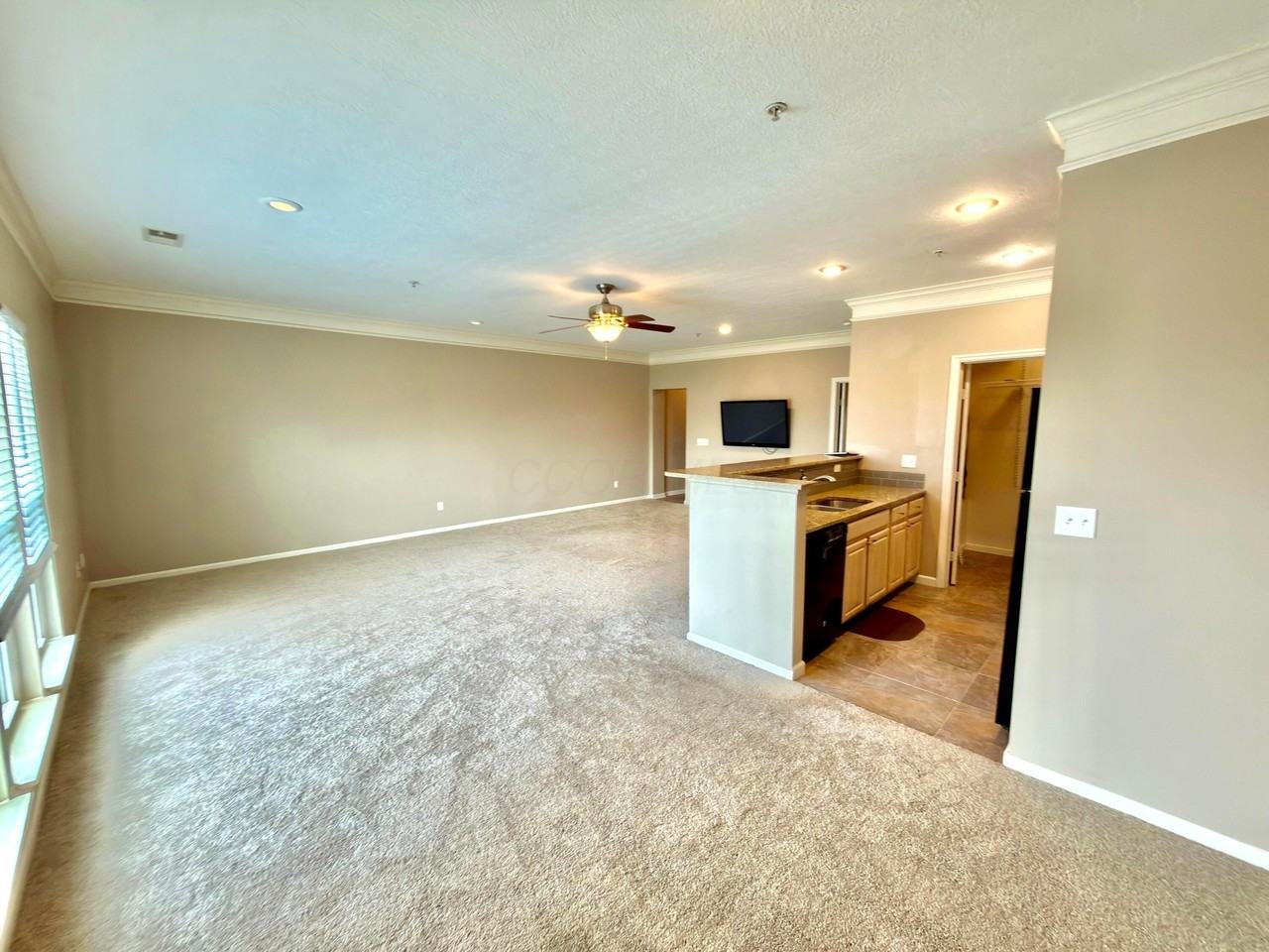 6265 Craughwell Ln - Photo 5 of 14