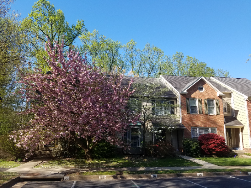 11822 Great Owl Cir - Photo 3 of 7