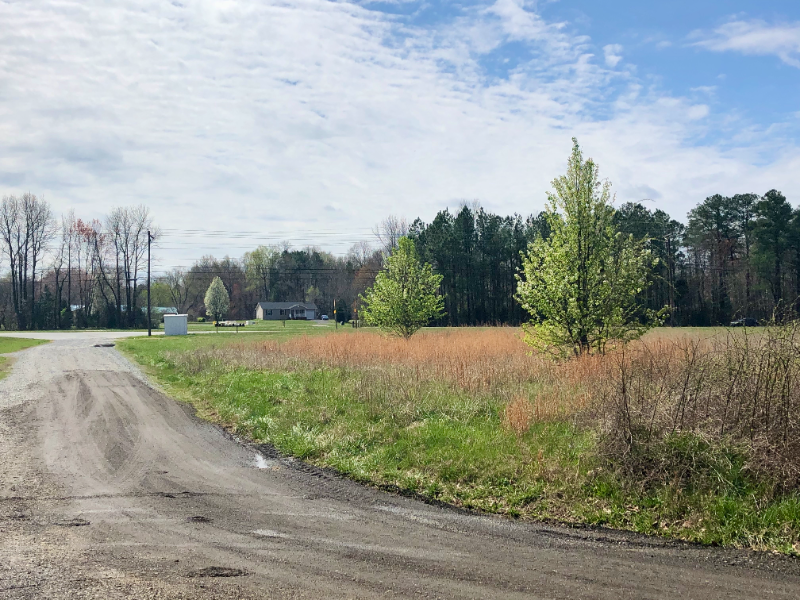 42838A Higgs Ln #A - Photo 3 of 17