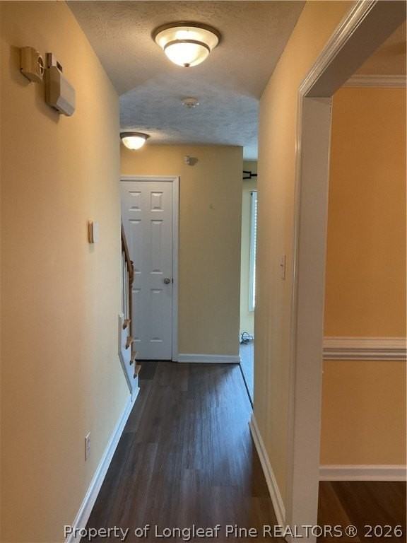 8225 Hurrican Ln - Photo 2 of 11