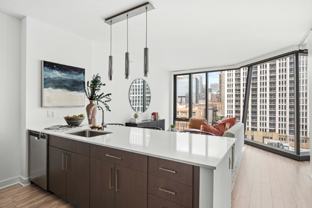 1325 S Michigan Ave #60605 - Photo 1 of 1
