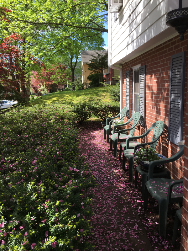 61 Kirkwood Rd - Photo 2 of 14