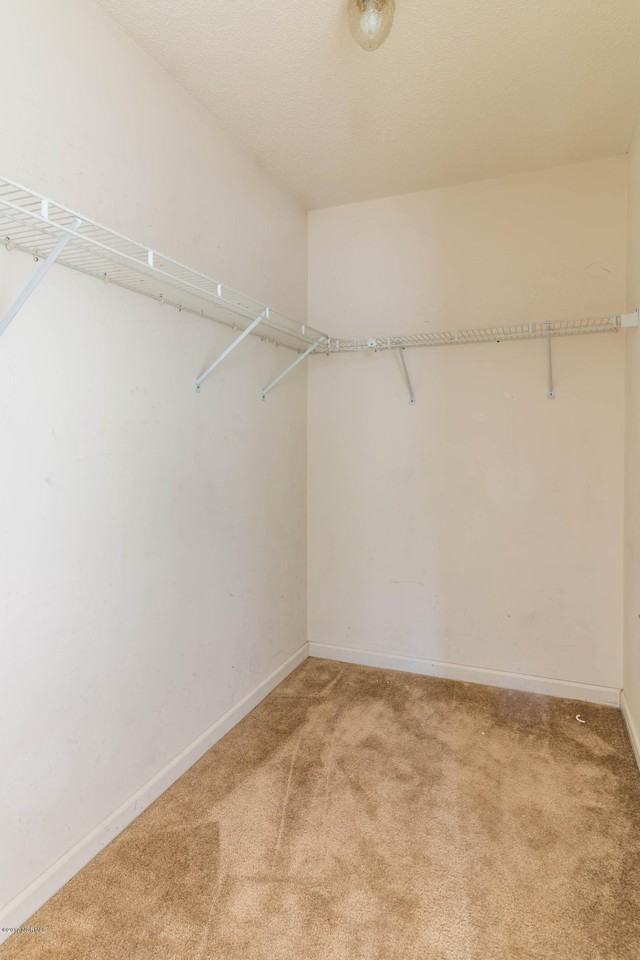 212 Joey Ct - Photo 6 of 12