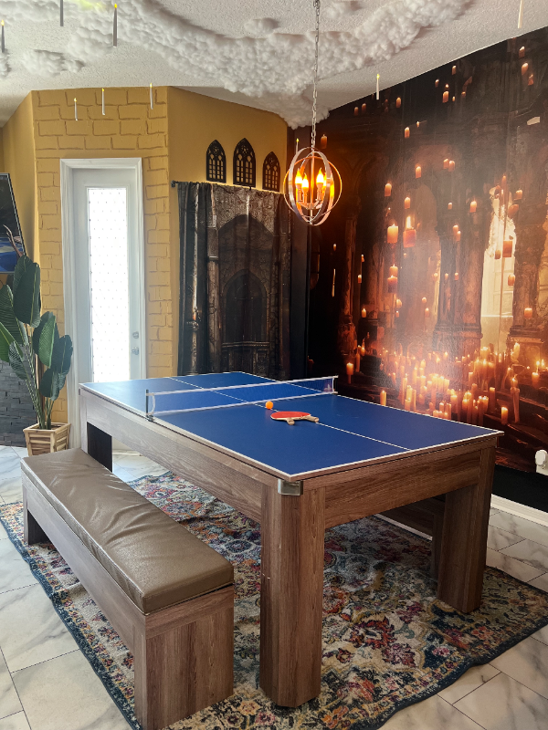 414 Brunello Dr - Photo 7 of 20