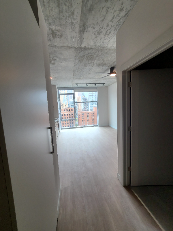 216 W Chicago Ave - Photo 3 of 13