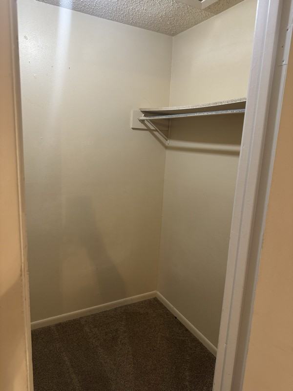 1429 W Fairmont St - Photo 7 of 21