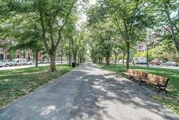 342 Commonwealth Ave Apt 3 #Apt 3