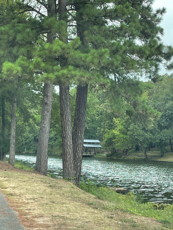 3737 Lakeshore Dr - Photo 2 of 33