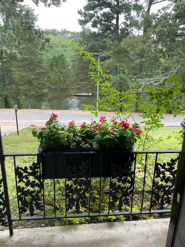 3737 Lakeshore Dr - Photo 7 of 33