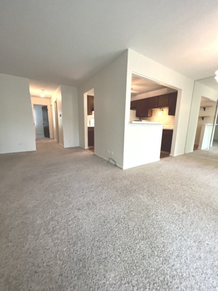 225 Deerpath Ct Unit C2 - Photo 5 of 18