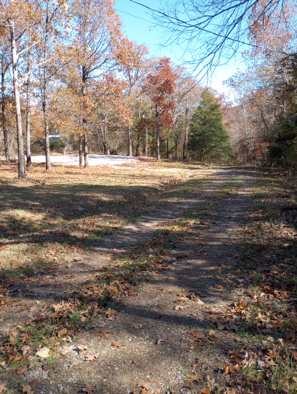 135 Sturgeon #1 - Photo 2 of 11