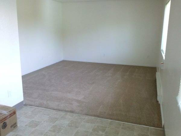 425 Filbert Ln - Photo 6 of 10