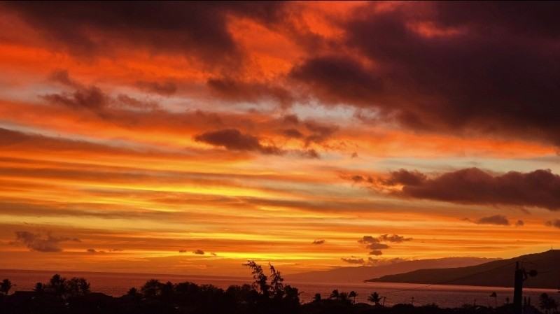 86 Koki Pl - Photo 6 of 37